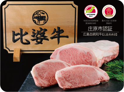 雪合戦ひろしま in 高野