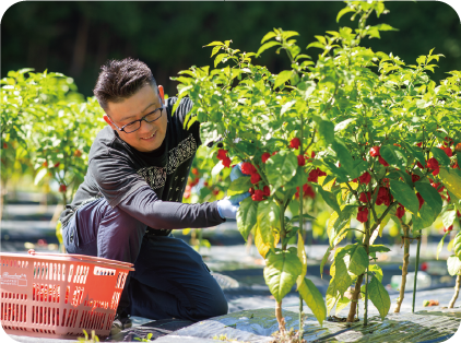 雪合戦ひろしま in 高野
